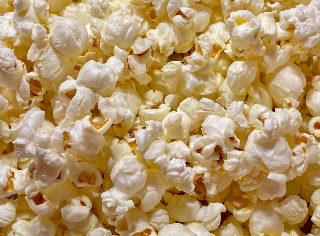 Experience Movies Under the Stars at Broome’s Sun Pictures
